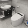 Großhandel moderne Sanitärkeramik intelligente Toilette Badezimmer Keramik einteilige elektrische Bidet-Toiletten