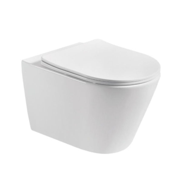 Wand-WC aus Keramik mit Dual Flush-Funktion, mattiertes Keramik-Wand-WC