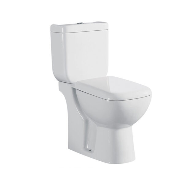 Bathroom Toilet Sanitary Ware Ceramic Floor Mounted Dual flush Two Piece Toilet 01 1016