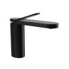 Black Lacquer Modern Bathroom Faucet