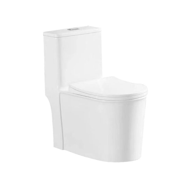 China Sanitary Ware Supplier Bathroom Wc Ceramic One Piece Toilet MP 8662