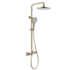 Dual Handle Thermostatic Shower Set Brushed Gold.jpg 800x800