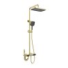 Factory Price Gold Color with Spray Handle.jpg 800x800