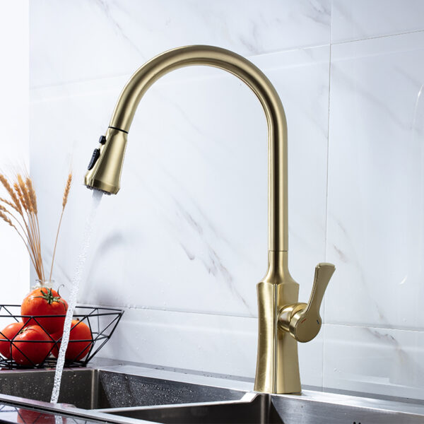 Golden brushed SUS304 stainless steel flexible rotating single handle hot and cold pull out the kitchen faucet 1