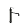 Gun Black Brush Sanitary Wares Chrome Surface
