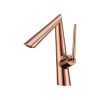 Luxury Solid Brass Chrome Hot and Cold
