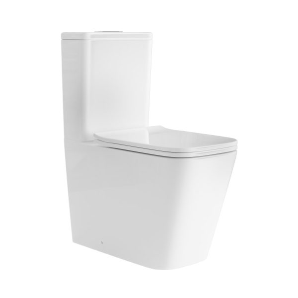 China High Quality Bathroom Sanitary Ware Dual Flush Toilet