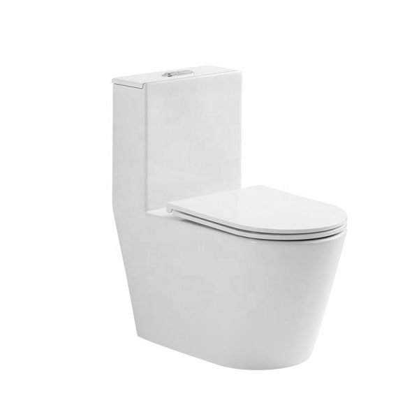 Bathroom Sanitary Ware Inodoro Siphon Jet One Piece Toilet