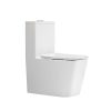 MP OP 1058 Hotel Project Modern Traditional WC One Piece Toilet