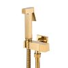 MP TS 1046 Brass Quality Hot Cold Water High Pressure Gold Bidet Sprayer Set