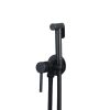 MP TS 1051 Modern Stainless Steel Brush Gold Toilet Bidet Sprayer
