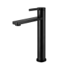 Modern Black Coating Brass Single Lever Long