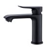 Modern Hotel Toilet Bathroom Single Handle Matte
