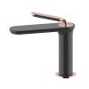 Modern Intelligent Matt Black Finish Single Hole