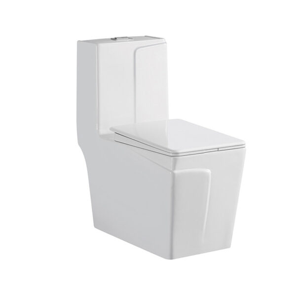 Modern Siphon Flush Water Closet Commode Ceramic Bathroom 1 Piece Wc Toilet 01 3058