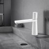 Modern Vanity Faucet Matte White Wash Basin