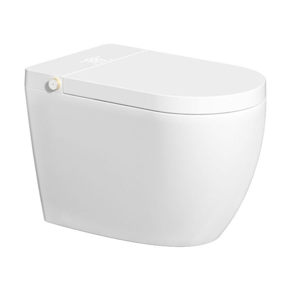 Quality Assure Intelligent Bidet Smart Toilets Auto Open Bathroom Toilet High Quality Bathroom Wc Smart Toilet