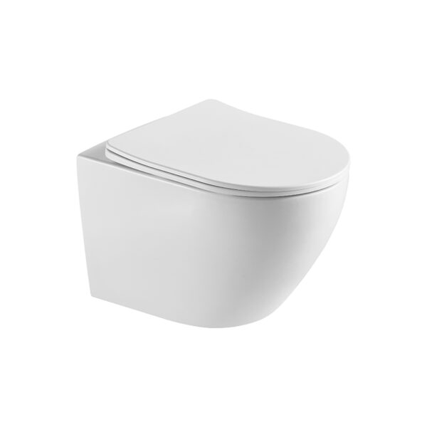 Sanitary Ware Toilet Luxury Europe Round Back Ceramic Sanitary Ware Wall Mounted Toilet 9