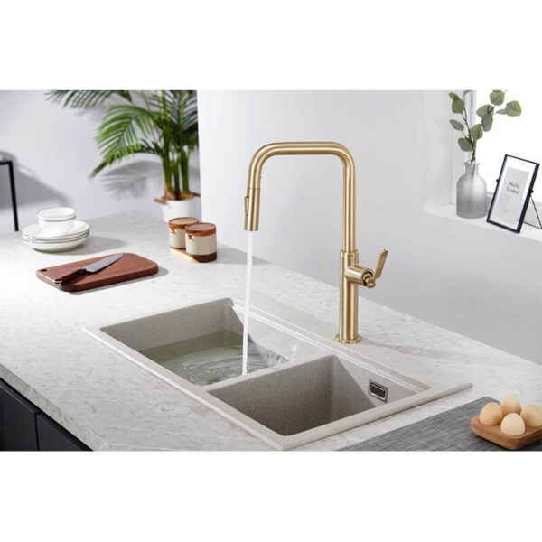 Single Handle Design Kitchen Sink Taps Faucet Pull Out Kitchen Faucets Gold With Pull Down Sprayer 6