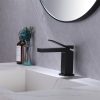 Solid Brass Matt Black Finished Hot and