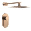 Watersino Stainless Steel Sanitary Ware Shower Concealed.jpg 800x800