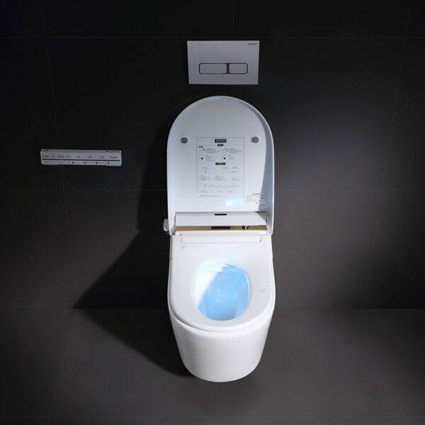 Wholesale Cheap New Design Hidden Water Tank European Style Wall Mounted Smart Flush Toilet V007 – Bild 5