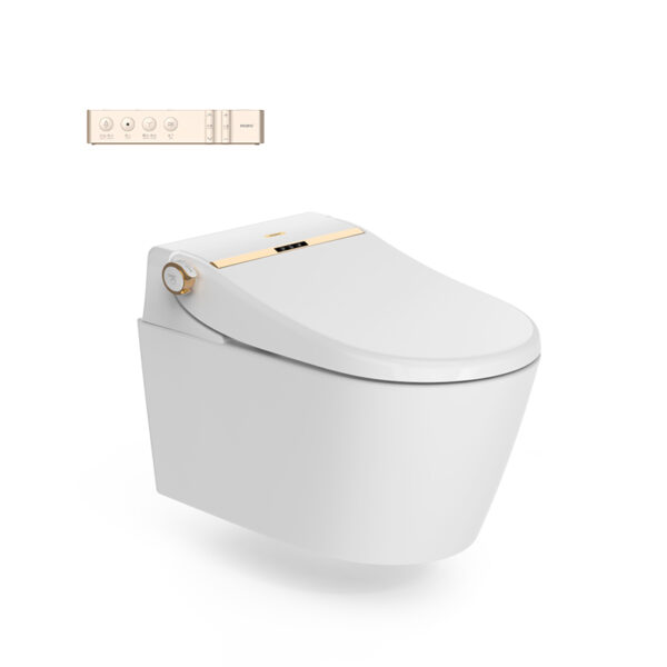 Wholesale Cheap New Design Hidden Water Tank European Style Wall Mounted Smart Flush Toilet V007 – Bild 9