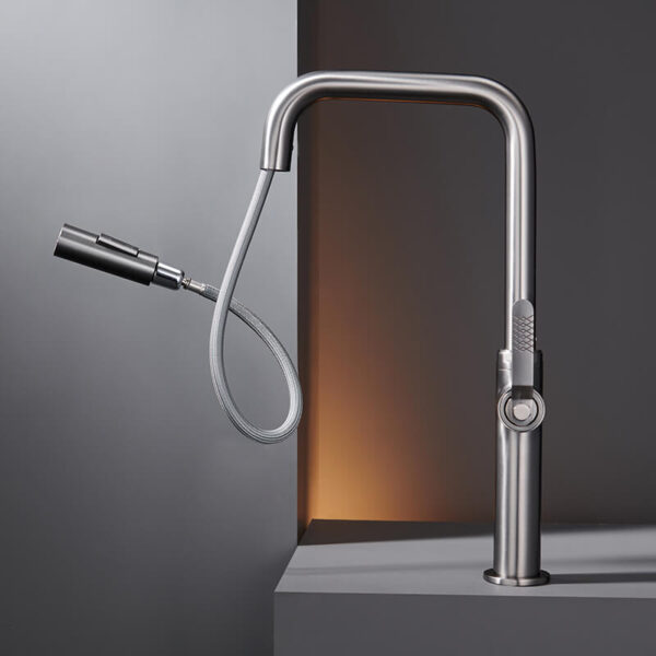 kitchen faucet with pull down sprayer